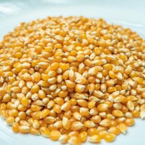 Popcorn Seeds